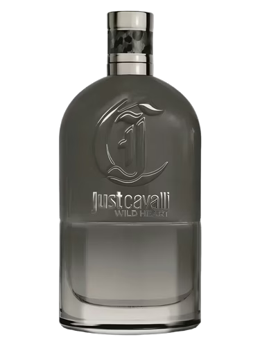 Roberto Cavalli Just Cavalli Wild Heart for Him Eau De Toilette Bottle