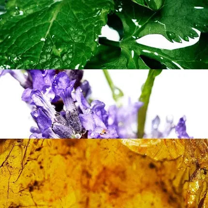 DAVIDOFF Cool Water All Over Body Spray 150ml DavidoffAmbient Beauty