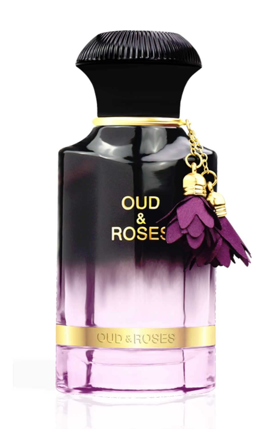 Ahmed Al Maghribi Oud and Roses ExDP 60ml For Men and Women