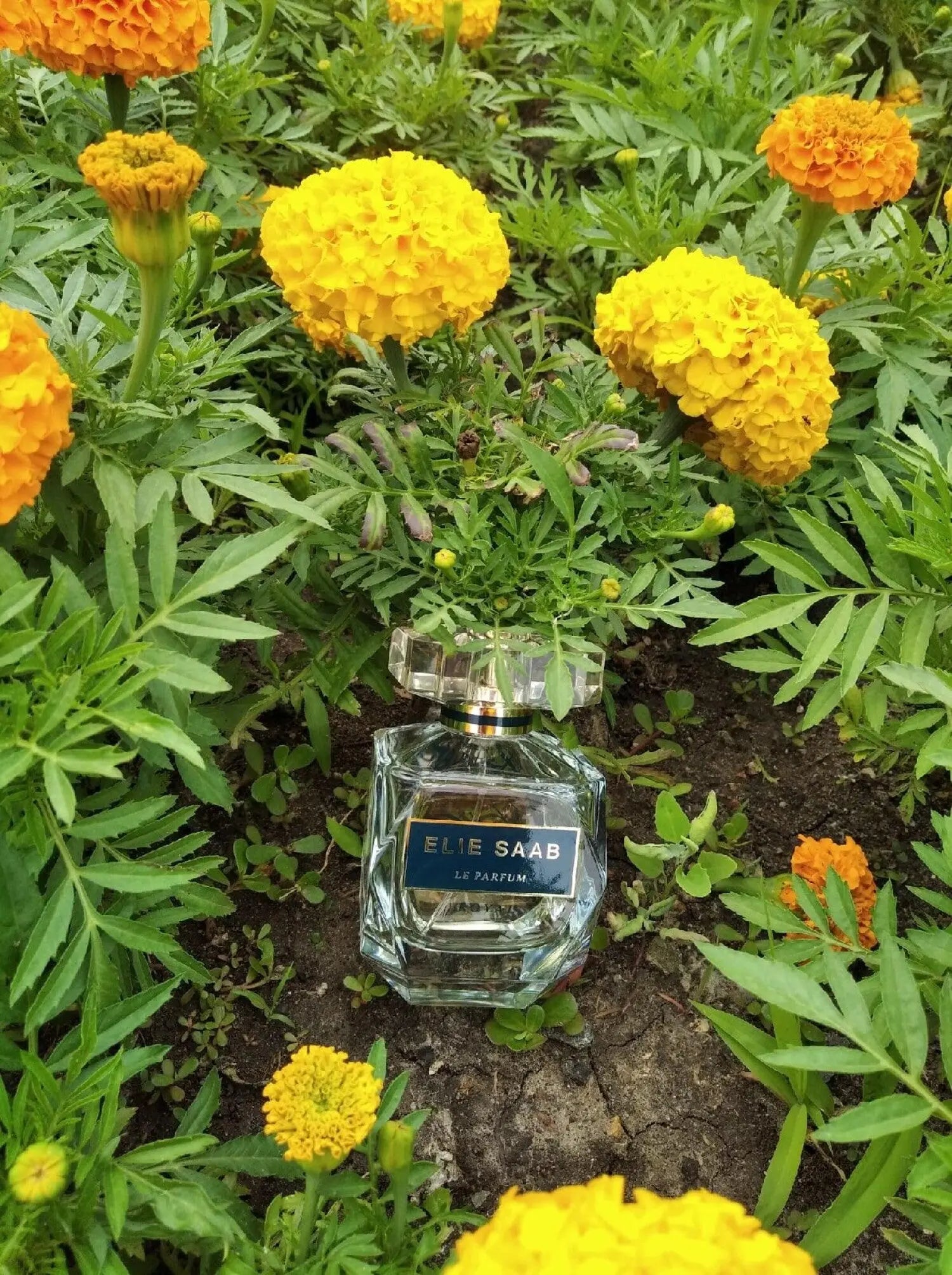 Elie Saab Le Parfum Royal Eau de Parfum 30ml For Women