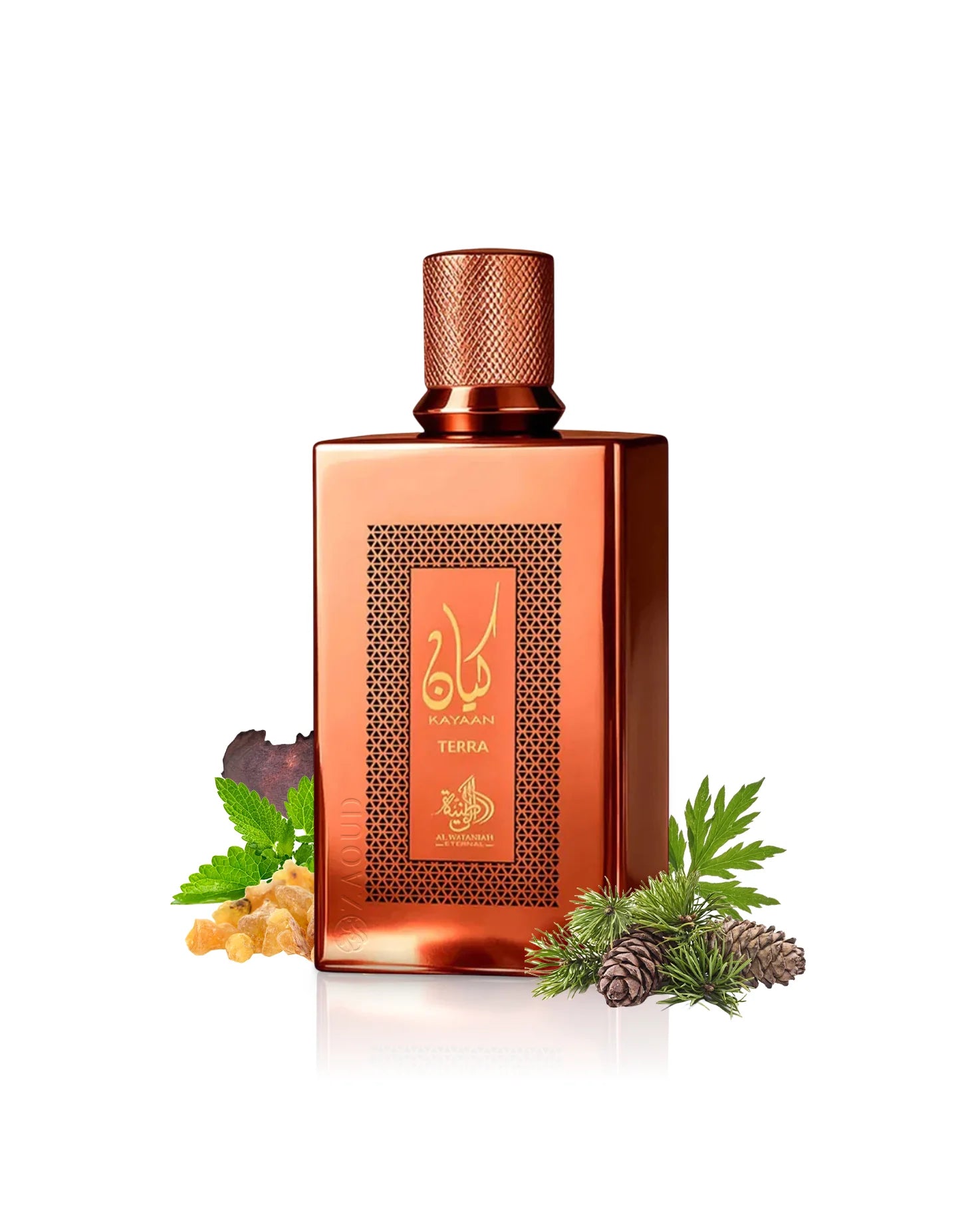 Al Wataniah Kayaan Terra EDP 100ml For Men