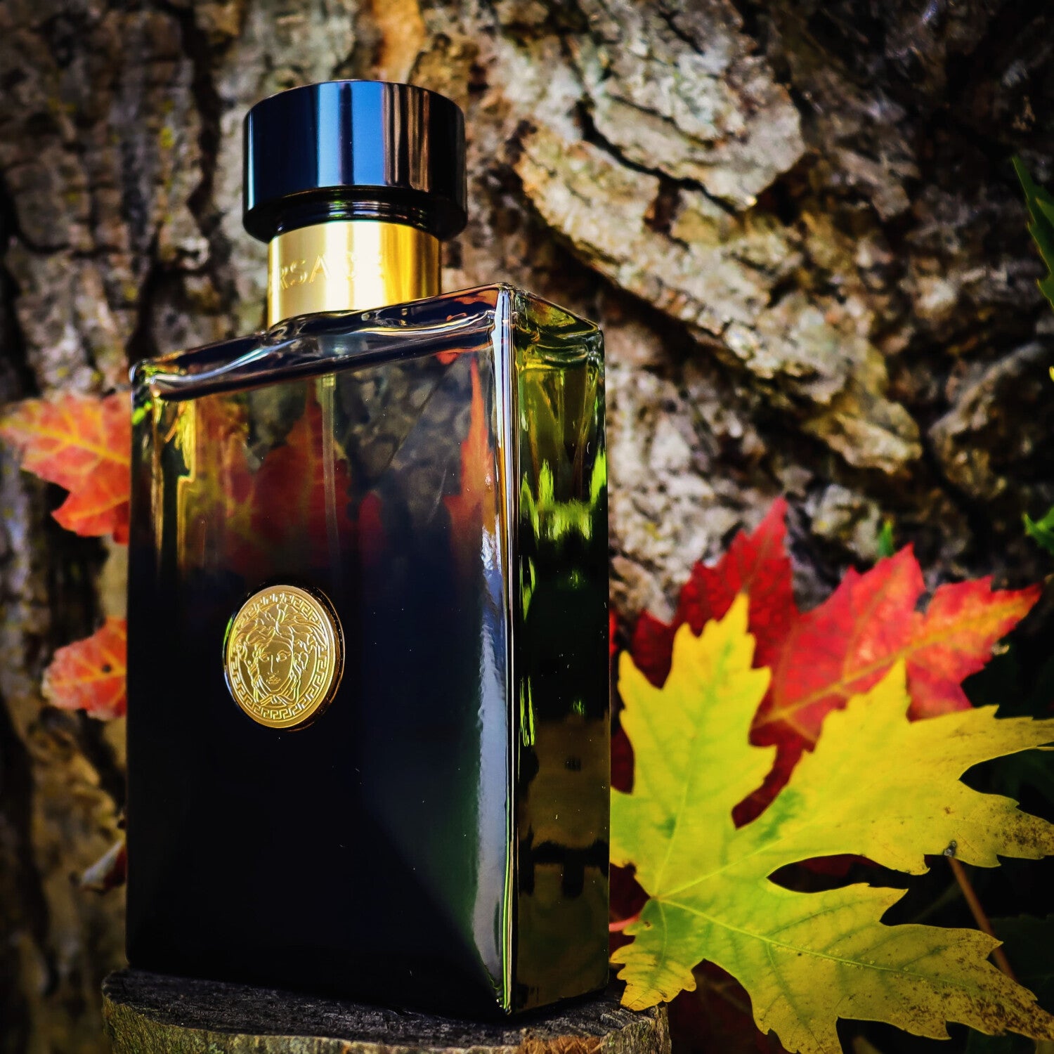 Versace Oud Noir Eau de Parfum 100ml For Men