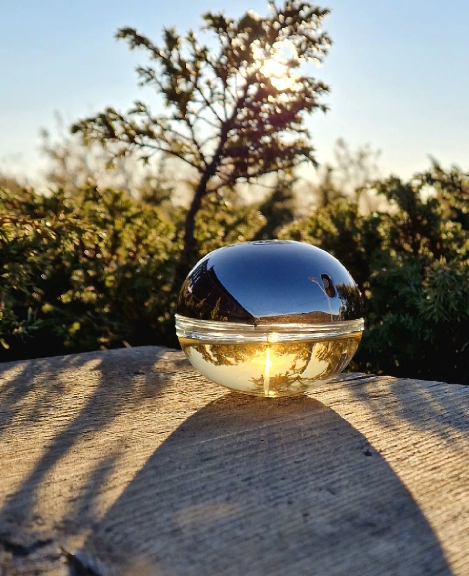 DKNY Golden Delicious Eau de Parfum Bottle