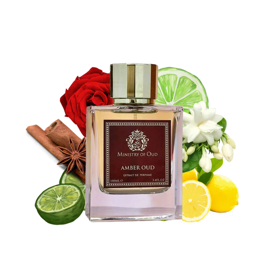 MINISTRY OF OUD Amber Oud Extrait De Perfume 100ml by Paris Corner