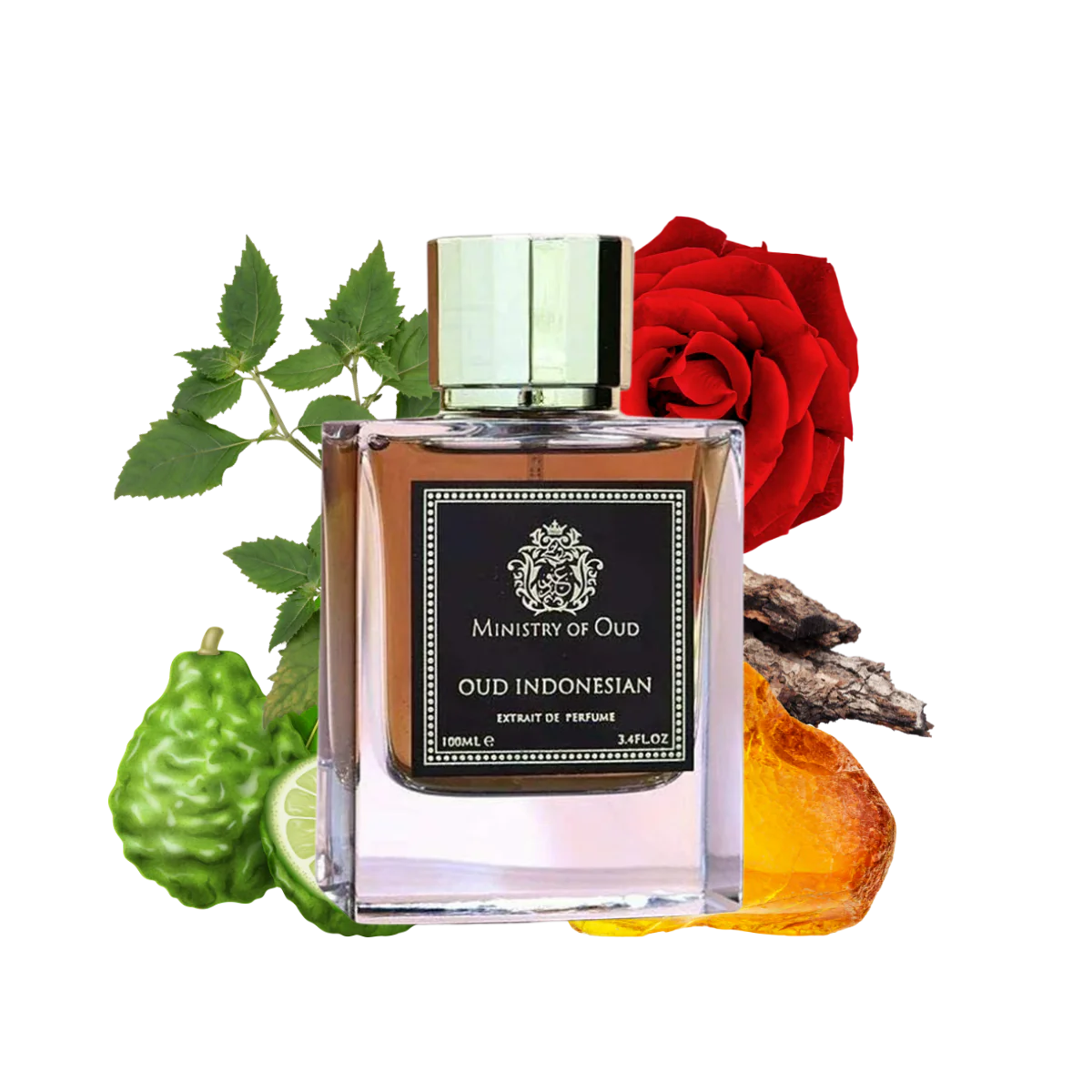 MINISTRY OF OUD Oud Indonesian Extrait De Perfume 100ml by Fragrance World Fragrance World Ambient Beauty