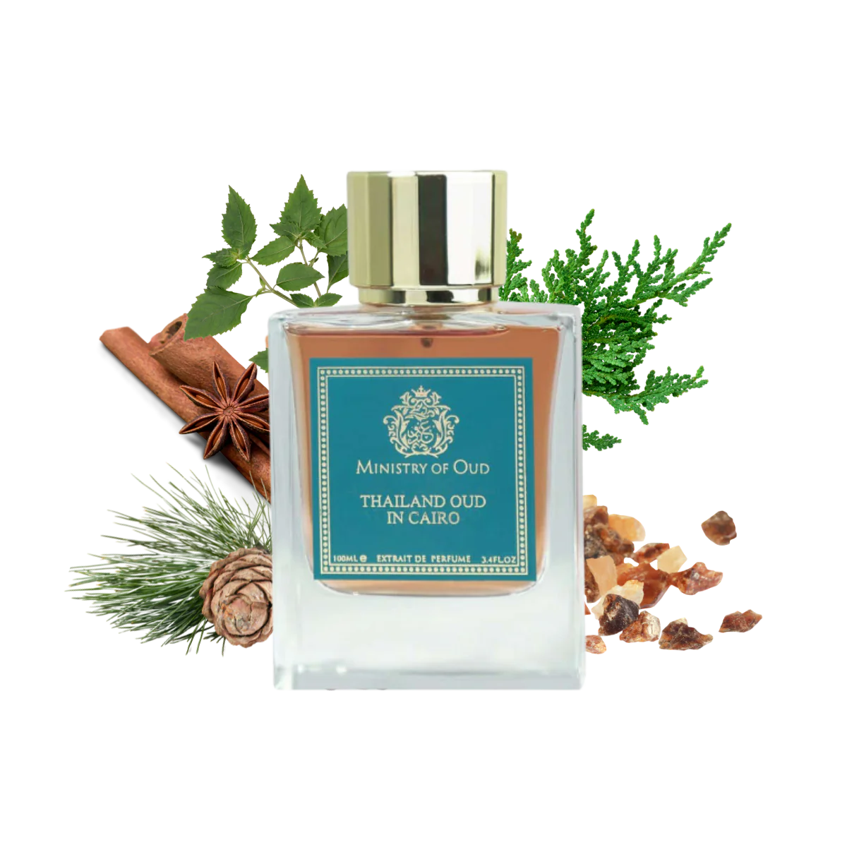 MINISTRY OF OUD Thailand Oud In Cairo Extrait De Perfume 100ml by Fragrance World Fragrance World Ambient Beauty