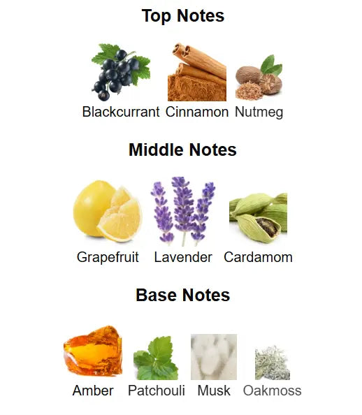 RUE BROCA Luminus Pour Homme Eau De Parfum 100ml by Afnan Afnan Ambient Beauty