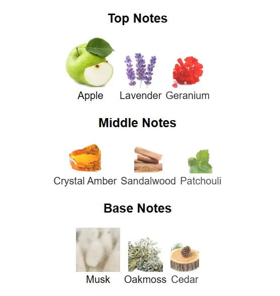 RUE BROCA Pride Pour Homme Eau De Parfum 100ml by Afnan Afnan Ambient Beauty