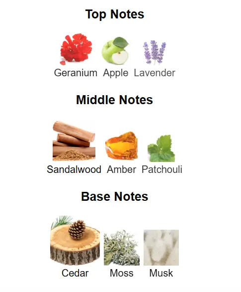 RUE BROCA Pride Intense Eau De Parfum 100ml by Afnan Afnan Ambient Beauty