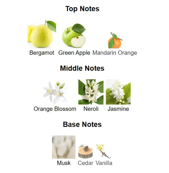 RUE BROCA Pride Pour Femme Eau De Parfum 100ml by Afnan Afnan Ambient Beauty