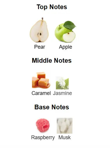 EMIR Pear Potion Eau De Parfum 100ml by Paris Corner Paris Corner Ambient Beauty