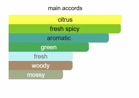 PARIS CORNER Mawj Moscow Mule Eau De Parfum 100ml Paris Corner Ambient Beauty