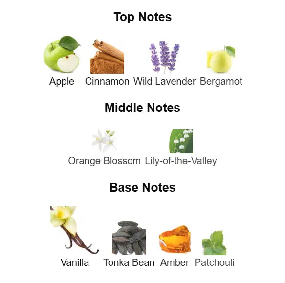 AFNAN 9pm Eau De Parfum 100ml Afnan Ambient Beauty