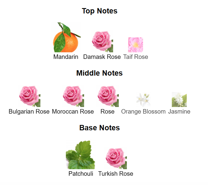 FRENCH AVENUE Enigma Quatre Eau De Parfum 100ml by Fragrance World French Avenue Ambient Beauty