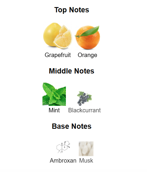 FRENCH AVENUE Pinnace Eau De Parfum 100ml French Avenue Ambient Beauty