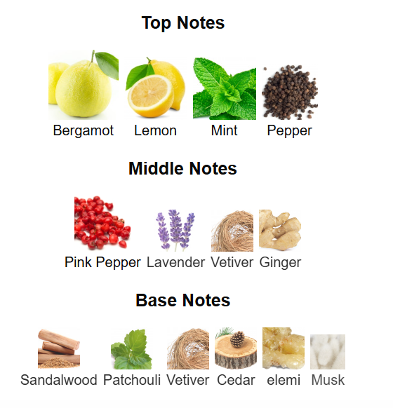 ARMAF Odyssey Wild One Eau De Parfum 100ml Armaf Ambient Beauty