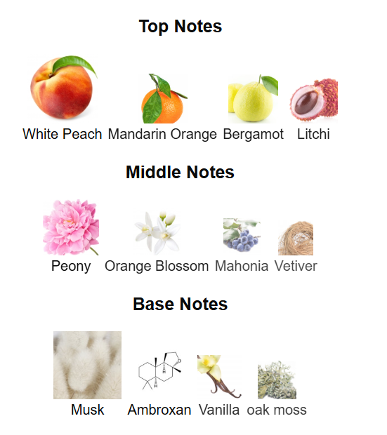 AFNAN Mystique Bouquet Eau De Parfum 80ml Afnan Ambient Beauty