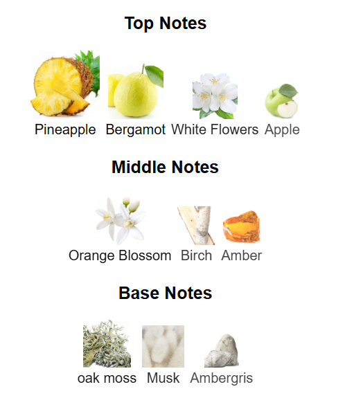 AFNAN Supremacy Collector's Edition Eau De Parfum 100ml Afnan Ambient Beauty