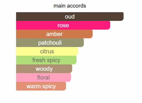 MINISTRY OF OUD Oud Indonesian Extrait De Perfume 100ml by Fragrance World Fragrance World Ambient Beauty