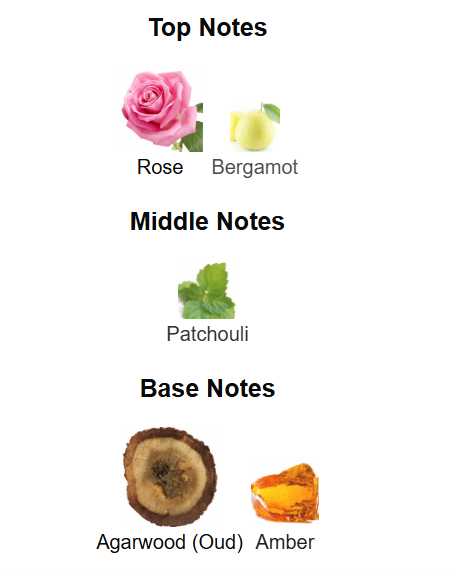 MINISTRY OF OUD Oud Indonesian Extrait De Perfume 100ml by Fragrance World Fragrance World Ambient Beauty