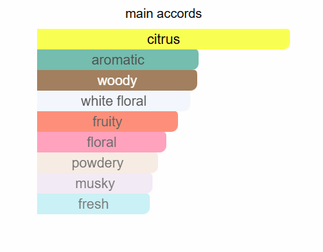 EMIR Vibrant Vetiver Delight Eau De Parfum 100ml by Paris Corner Paris Corner Ambient Beauty