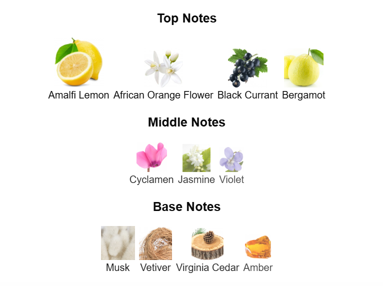 EMIR Vibrant Vetiver Delight Eau De Parfum 100ml by Paris Corner Paris Corner Ambient Beauty