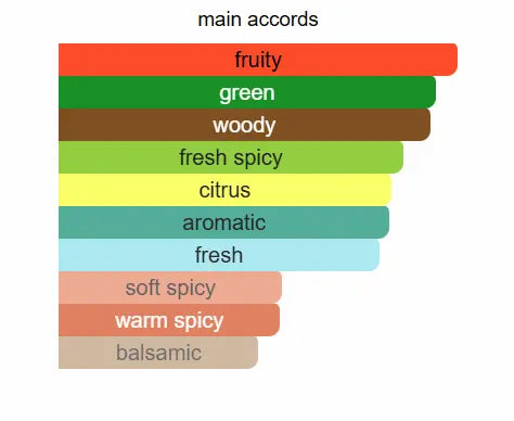 AFNAN 9am Dive Eau De Parfum 100ml Afnan Ambient Beauty