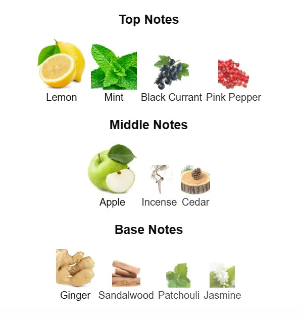 AFNAN 9am Dive Eau De Parfum 100ml Afnan Ambient Beauty