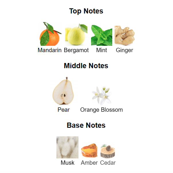 LATTAFA Pride Art Of Universe Eau De Parfum 100ml Lattafa Ambient Beauty