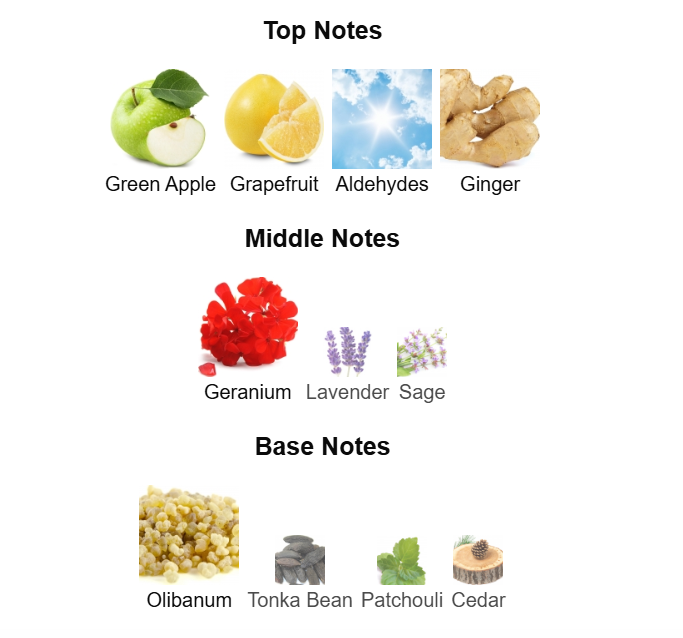 ARMAF Connoisseur Man Eau De Parfum 100ml Armaf Ambient Beauty