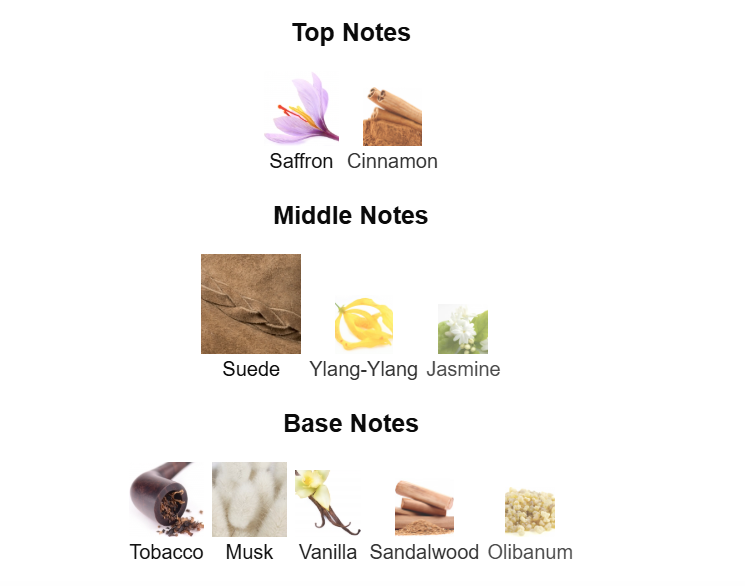 FRAGRANCE WORLD Notes Jazz Eau De Parfum 100ml Fragrance World Ambient Beauty