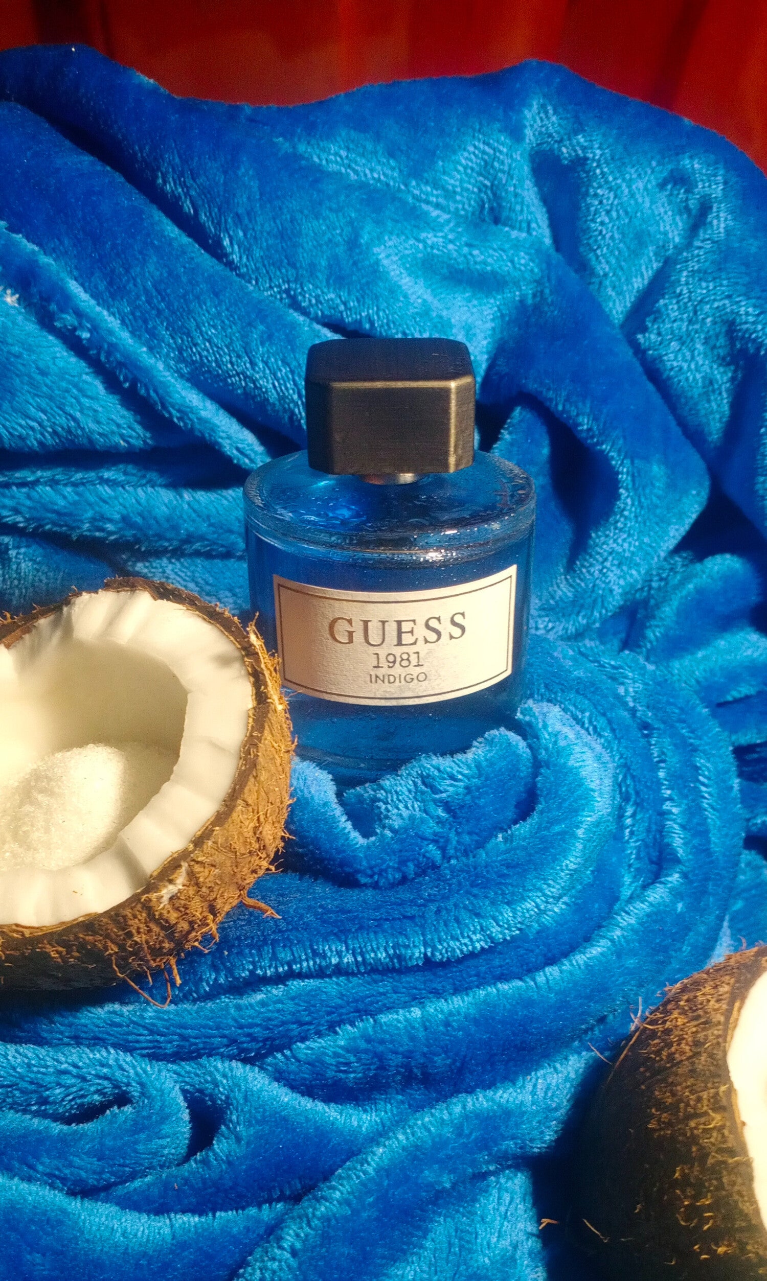 Guess 1981 Indigo Eau de Toilette 100ml For Men