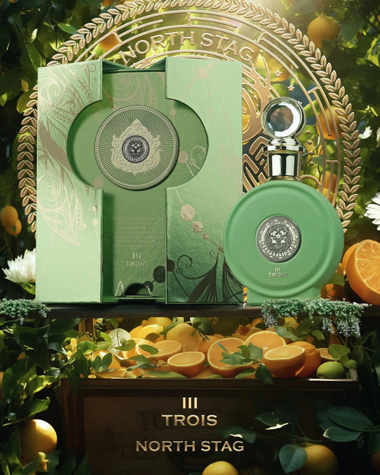 PARIS CORNER North Stag Expressions III Trois Extrait De Parfum 100ml Paris Corner Ambient Beauty