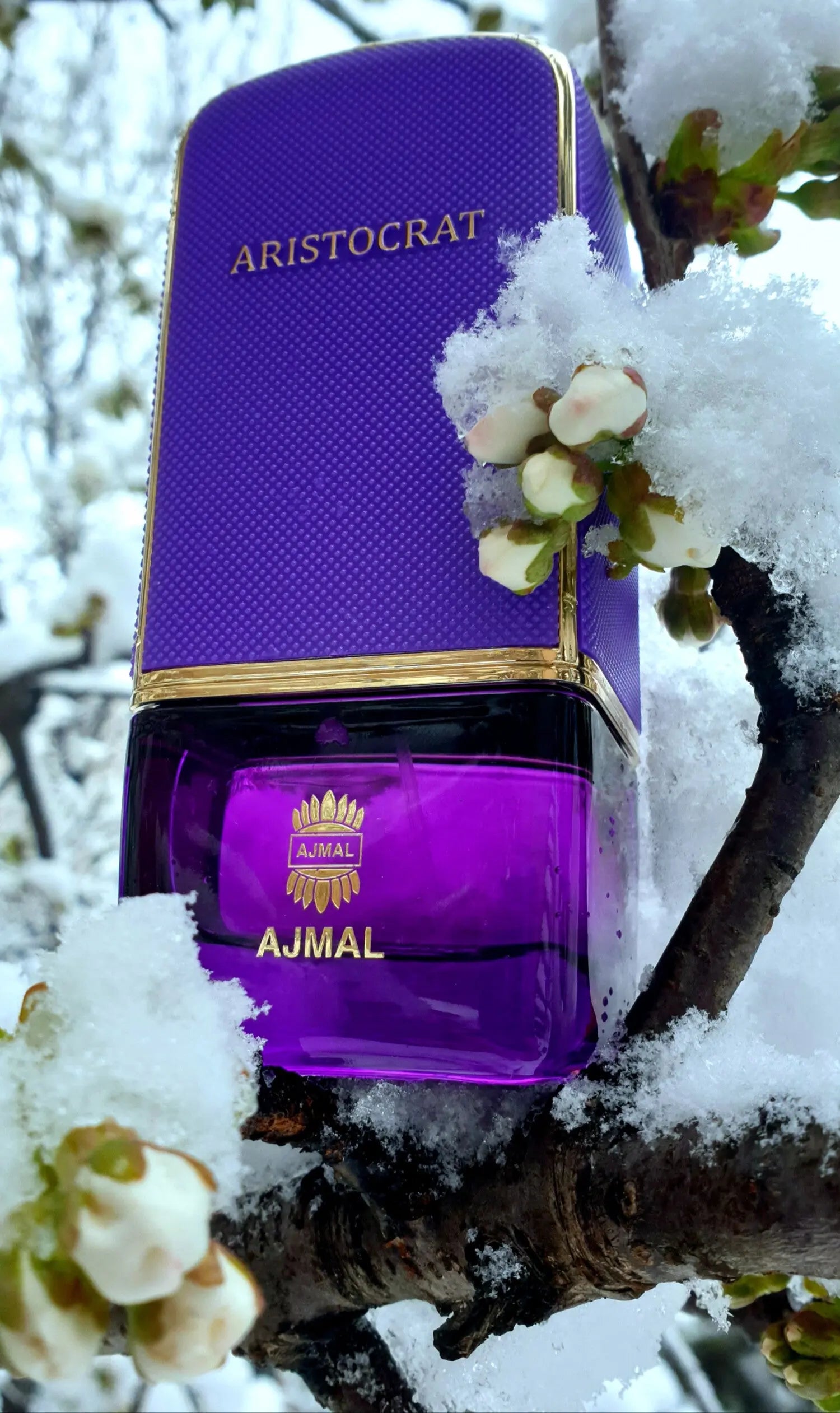 Ajmal Aristocrat For Her Eau de Parfum 75ml For Women