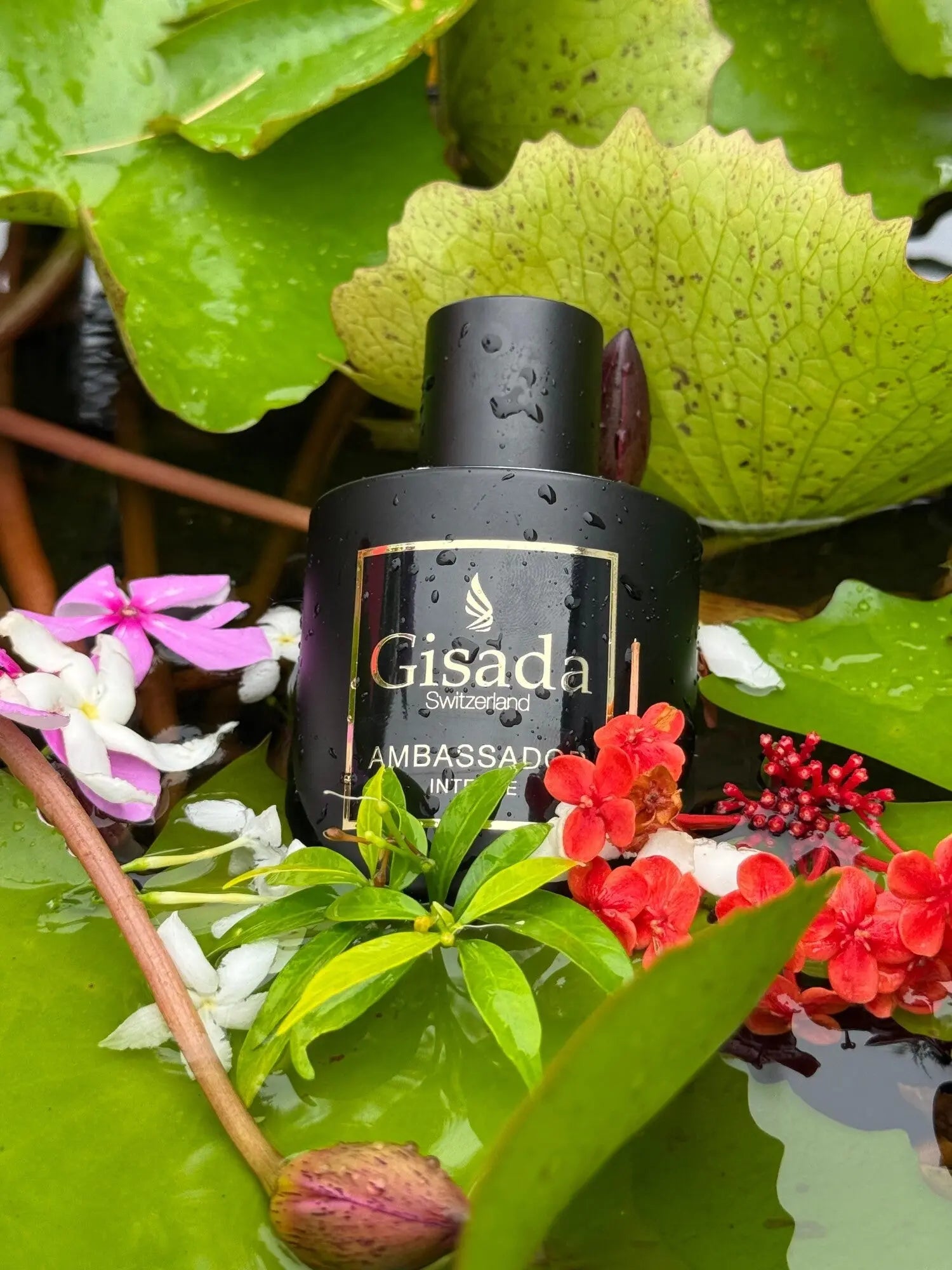 Gisada Ambassador Intense Eau de Parfum 100ml For Men