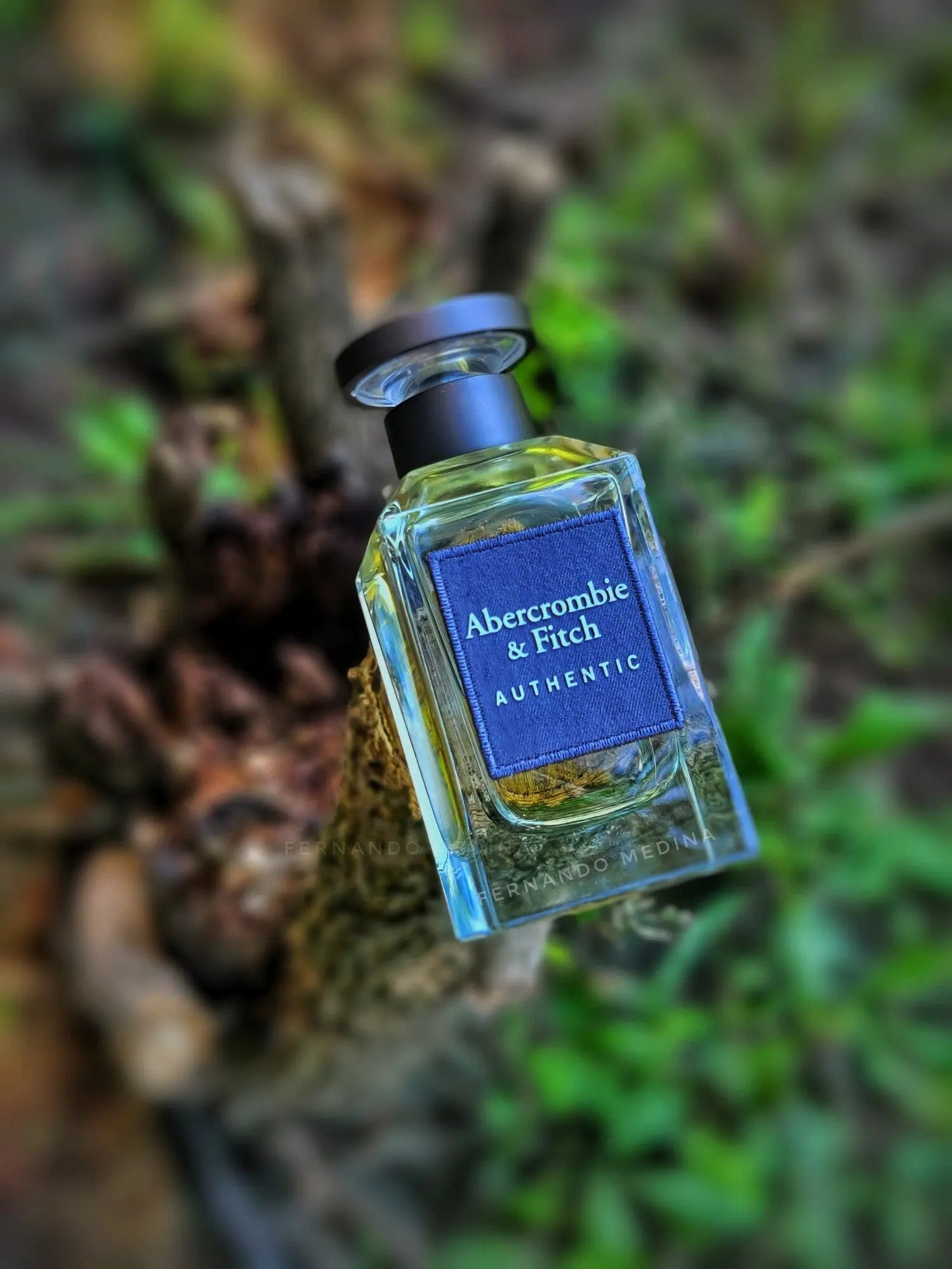 Abercrombie & Fitch Authentic Man Eau de Toilette 100ml For Men