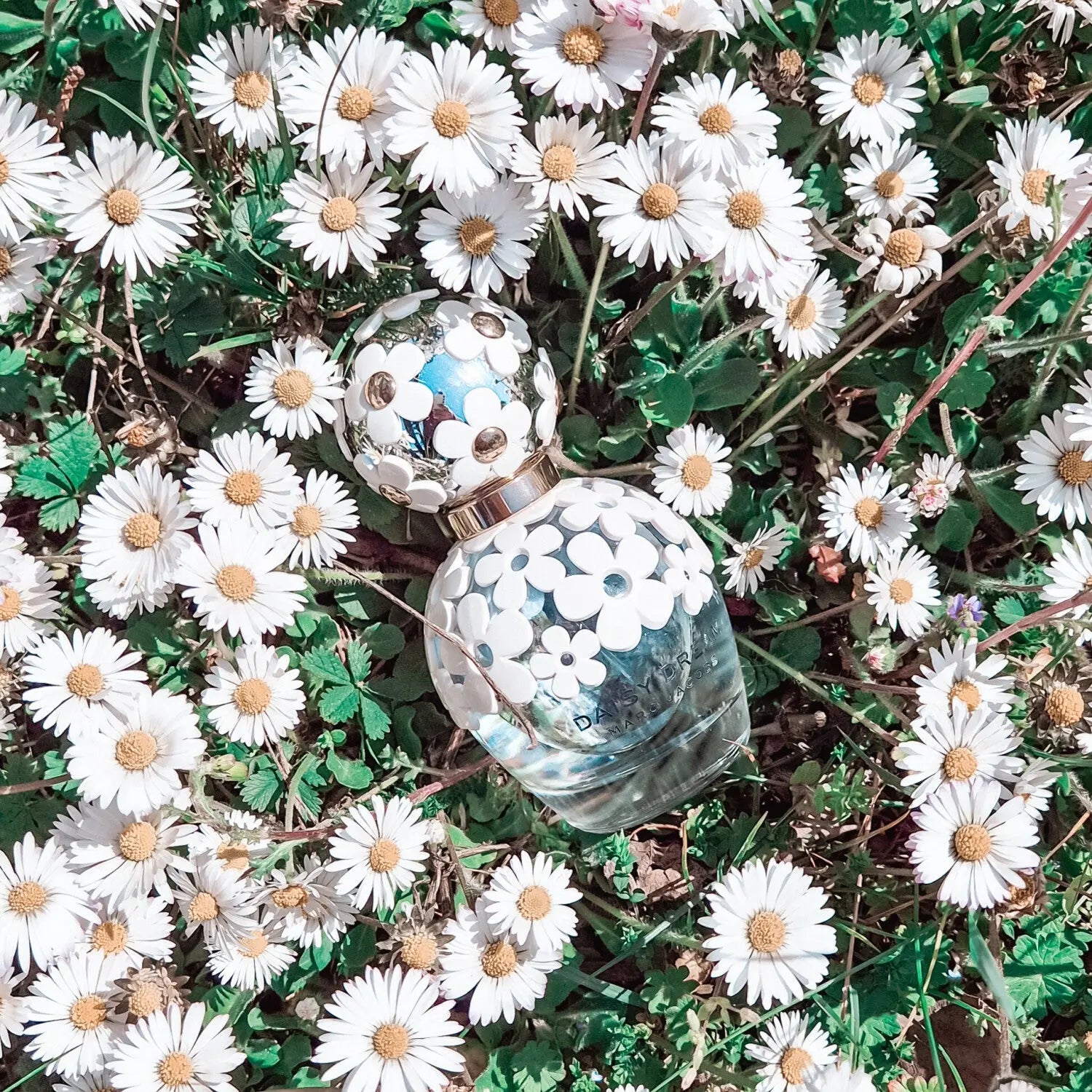 Marc Jacobs Daisy Dream Eau de Toilette 100ml For Women