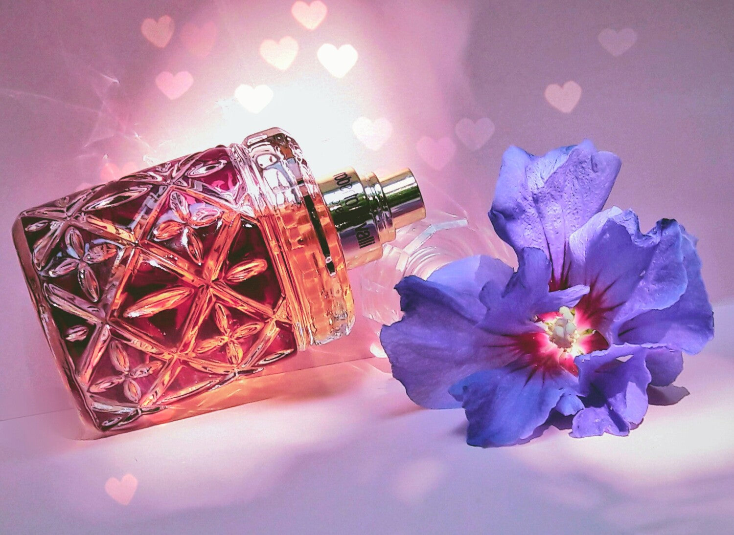 Roberto Cavalli Florence Eau de Parfum Bottle