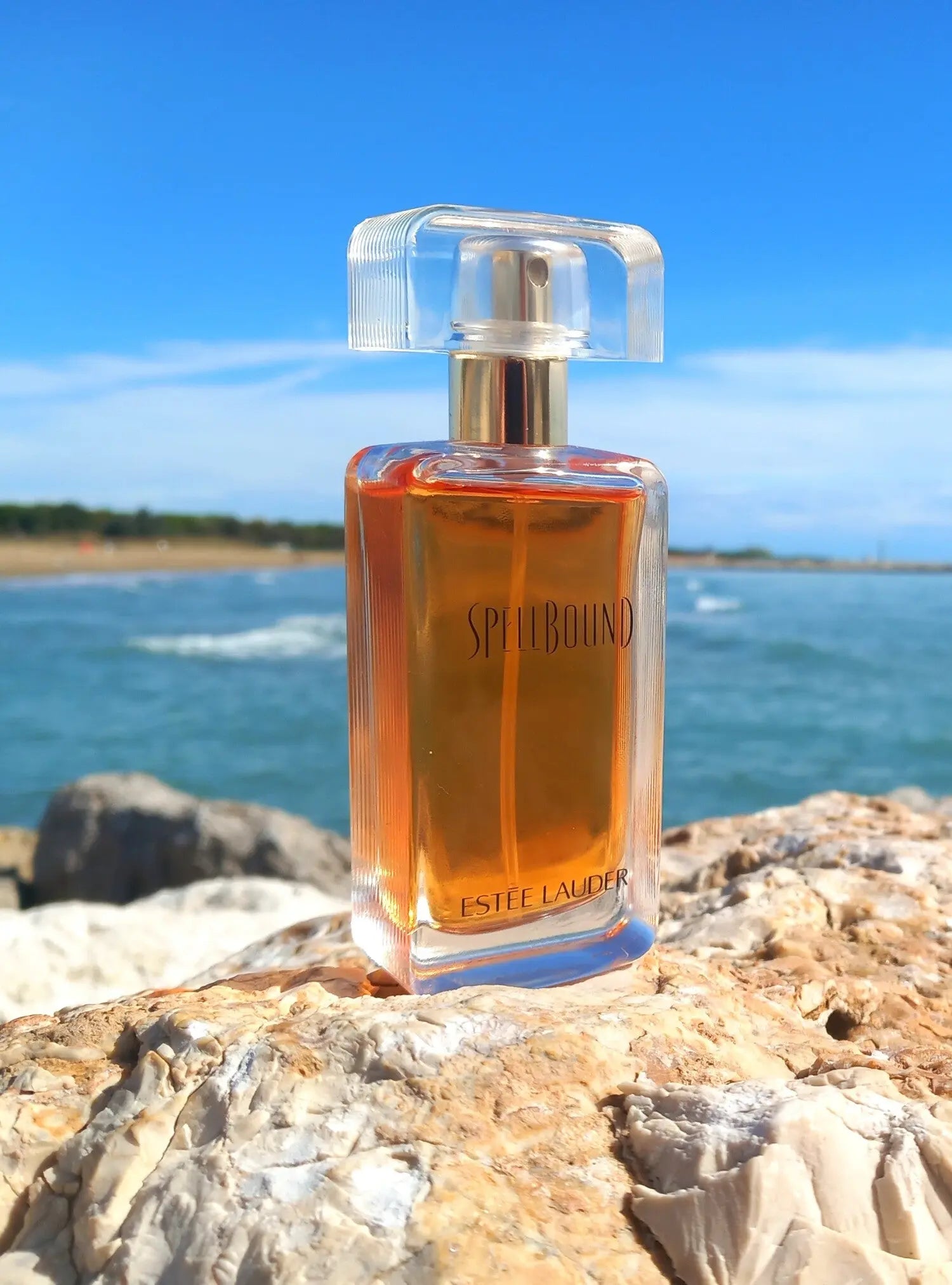 Perfume bottle labeled 'Spoolbound' by Estée Lauder on a rock with a scenic background
