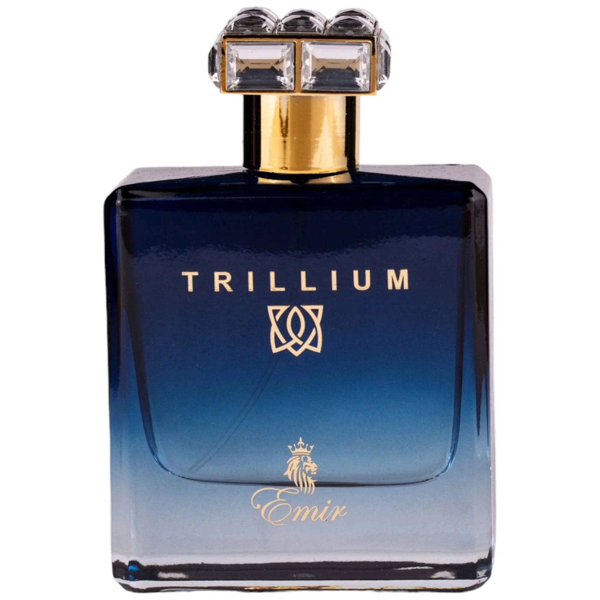 EMIR Trillium Eau De Parfum 100ml by Paris Corner Paris Corner Ambient Beauty