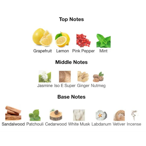 Ahmed Al Maghribi Blue by Ahmed  Chart of top, middle, and base notes with corresponding icons and names on a white background.