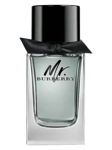 Burberry Mr. Burberry Eau de Toilette Bottle