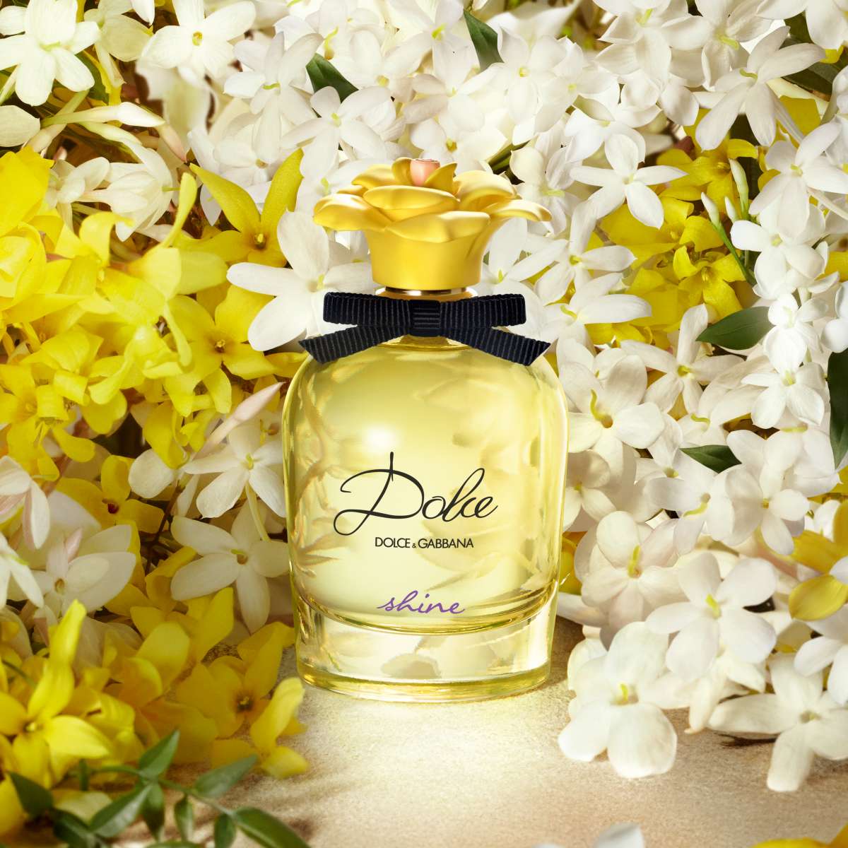 Dolce & Gabbana Dolce Shine Eau de Parfum 50ml For Women