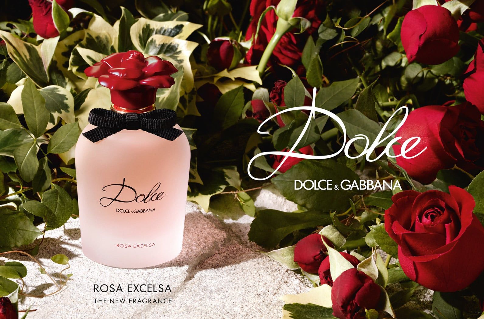 Dolce & Gabbana Dolce Rosa Excelsa Eau de Parfum 75ml For Women