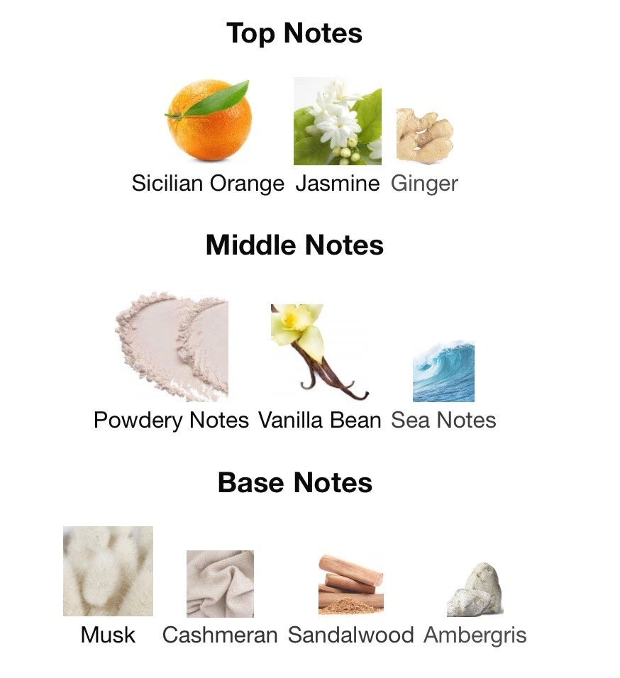 Ahmed Al Maghribi Rose Noir Chart of top, middle, and base notes with corresponding images and names.