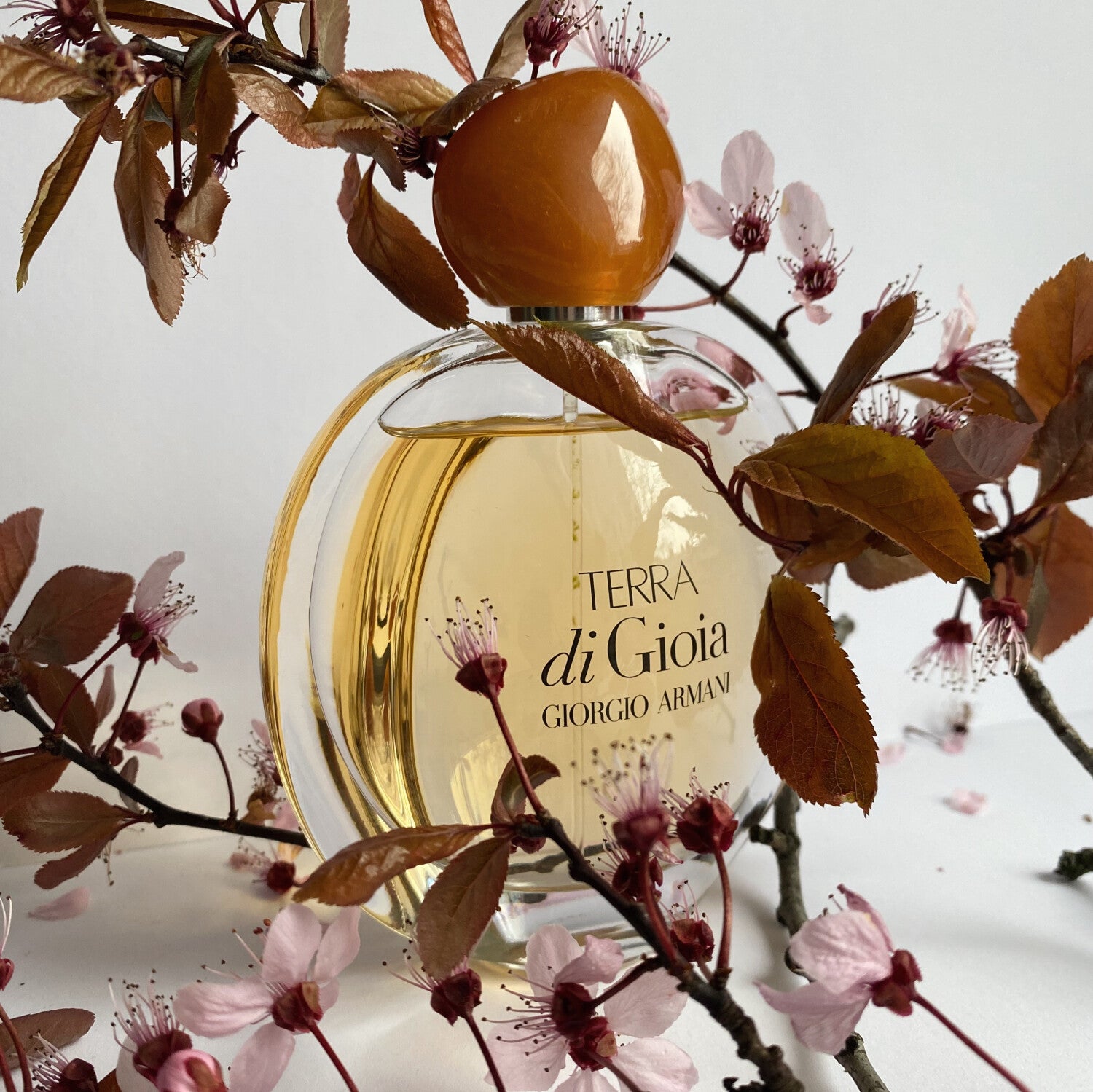 Giorgio Armani Terra di Gioia Eau de Parfum 50ml For Women