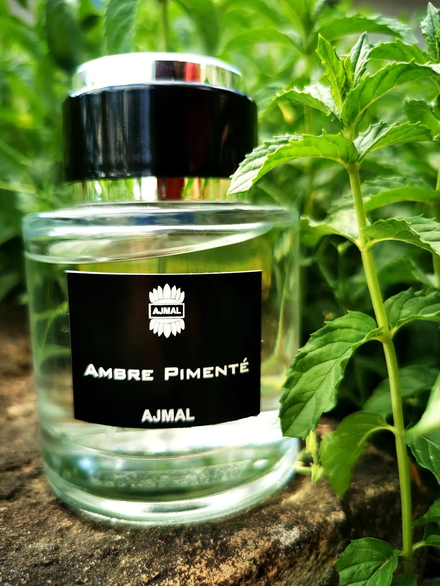 Ajmal Ambre Pimente Eau de Parfum 100ml For Men and Women