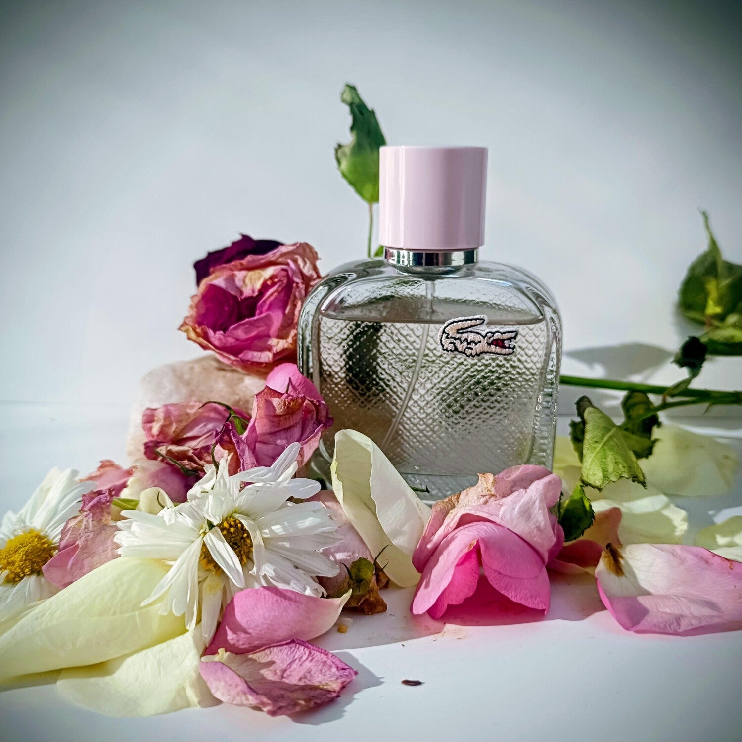 Perfume bottle with pink cap surrounded by flowers on a light background