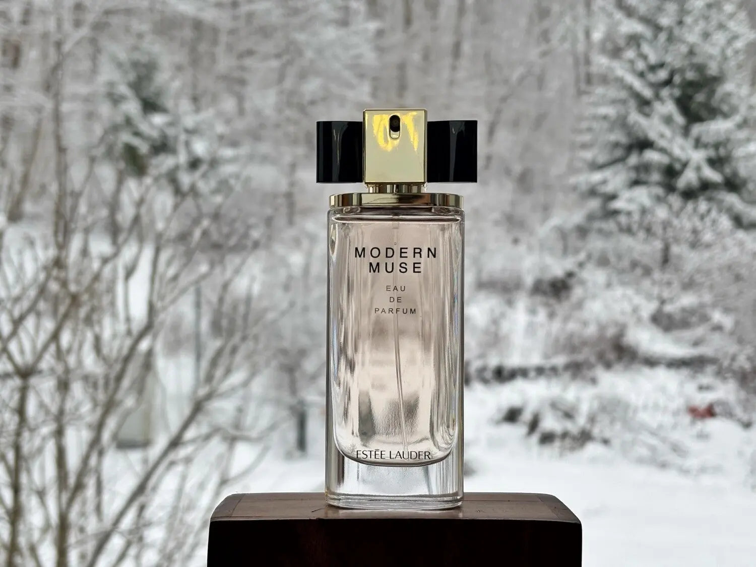 Estée Lauder Modern Muse Eau de Parfum 50ml For Women